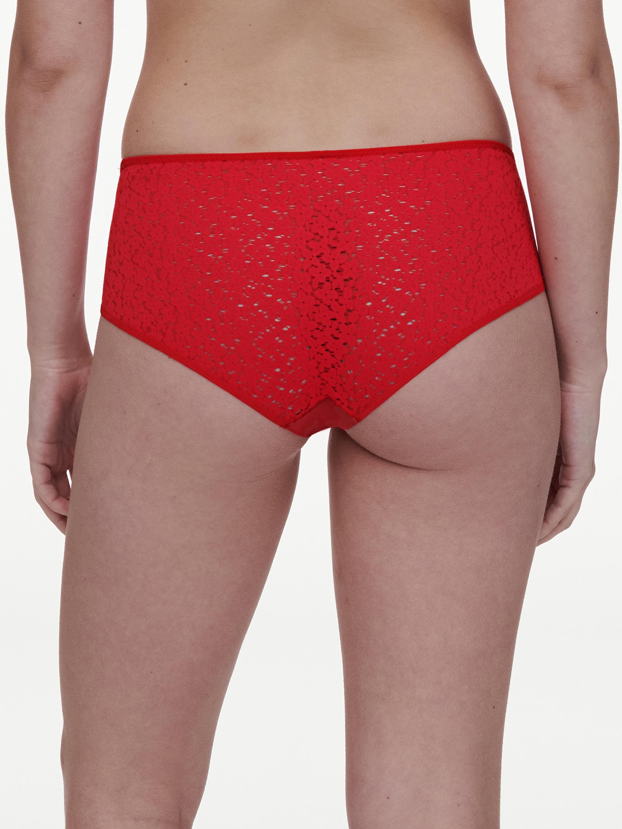 Culotte - Amapola