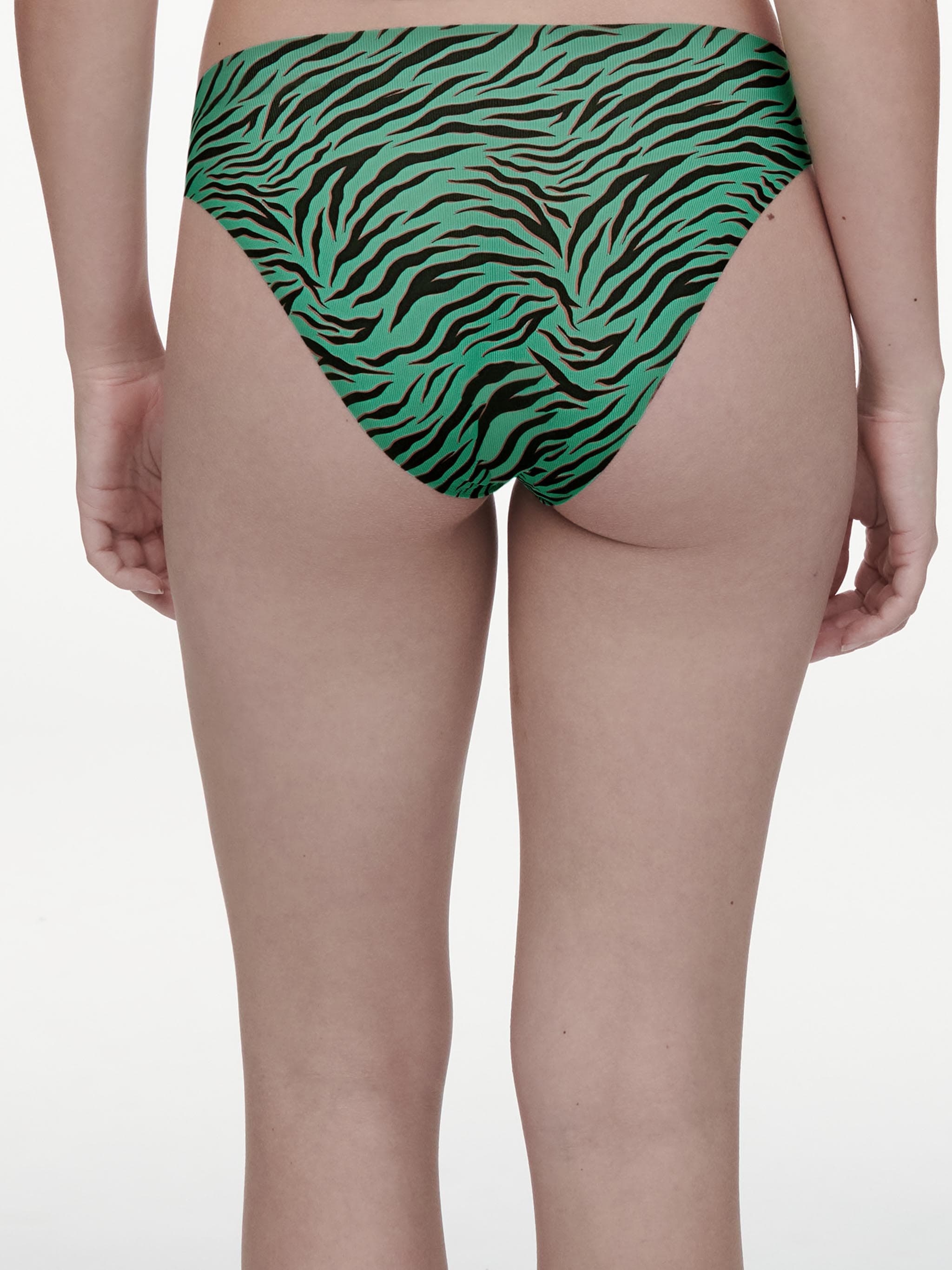 Braga - Zebra Esmeralda