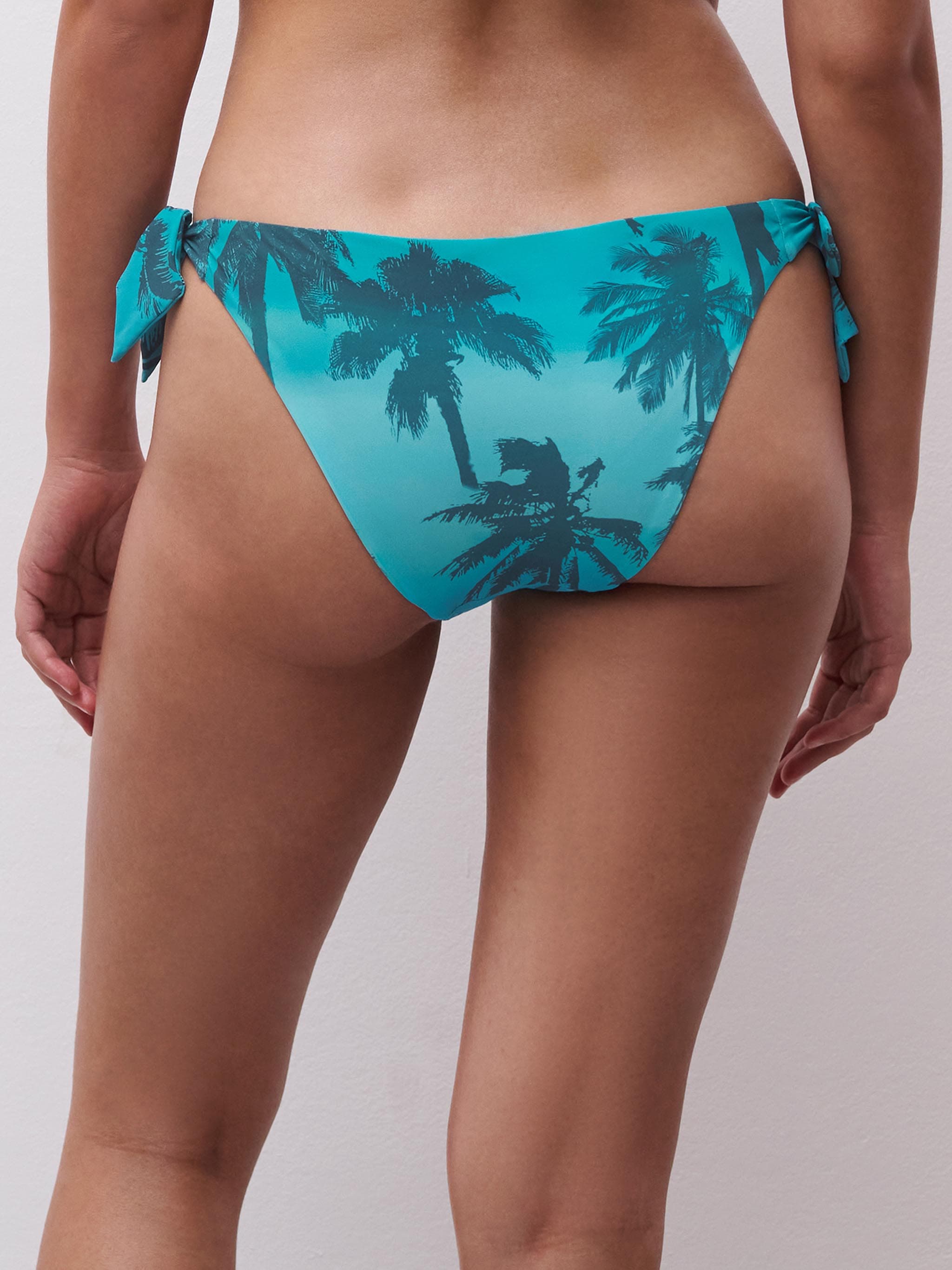 Bikini - Palmeras de Malibú