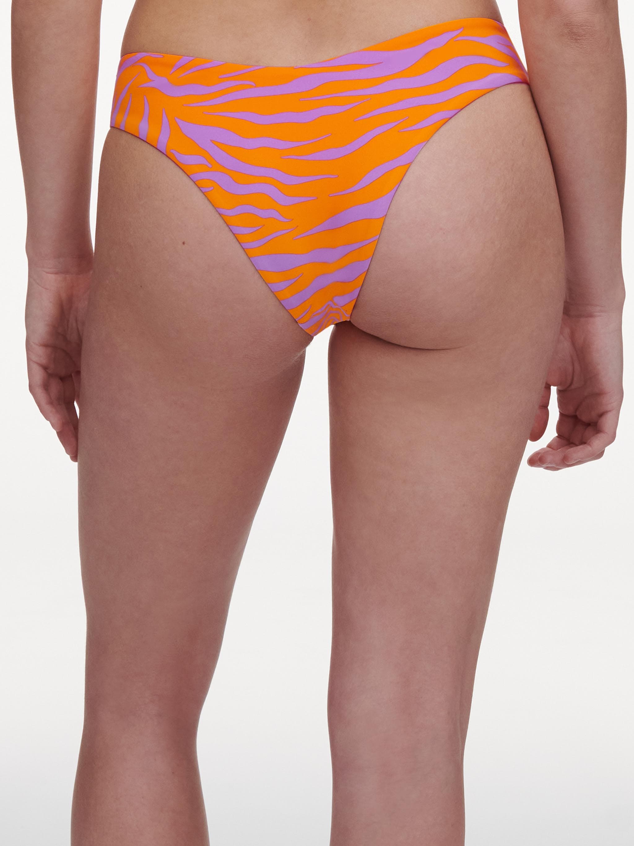 Tanga - Zebra