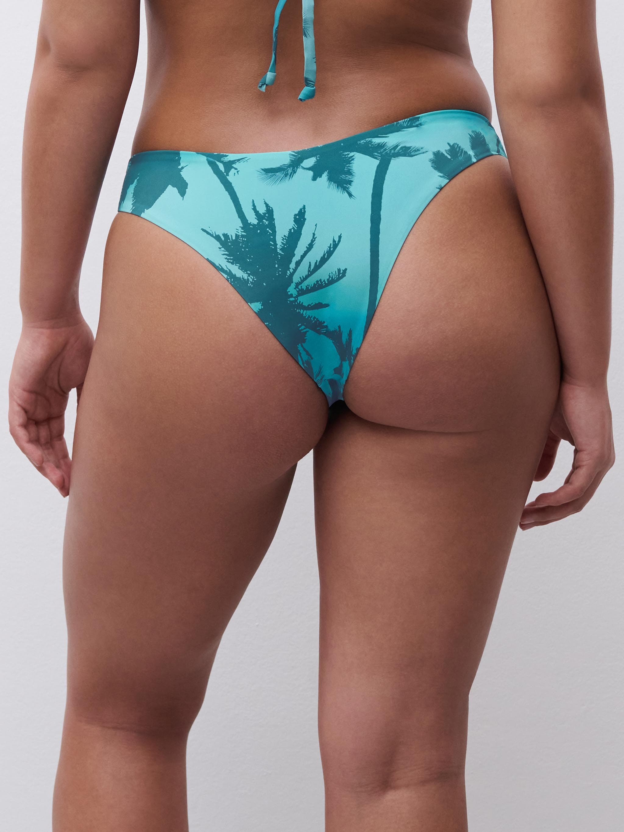 Tanga - Palmeras de Malibú