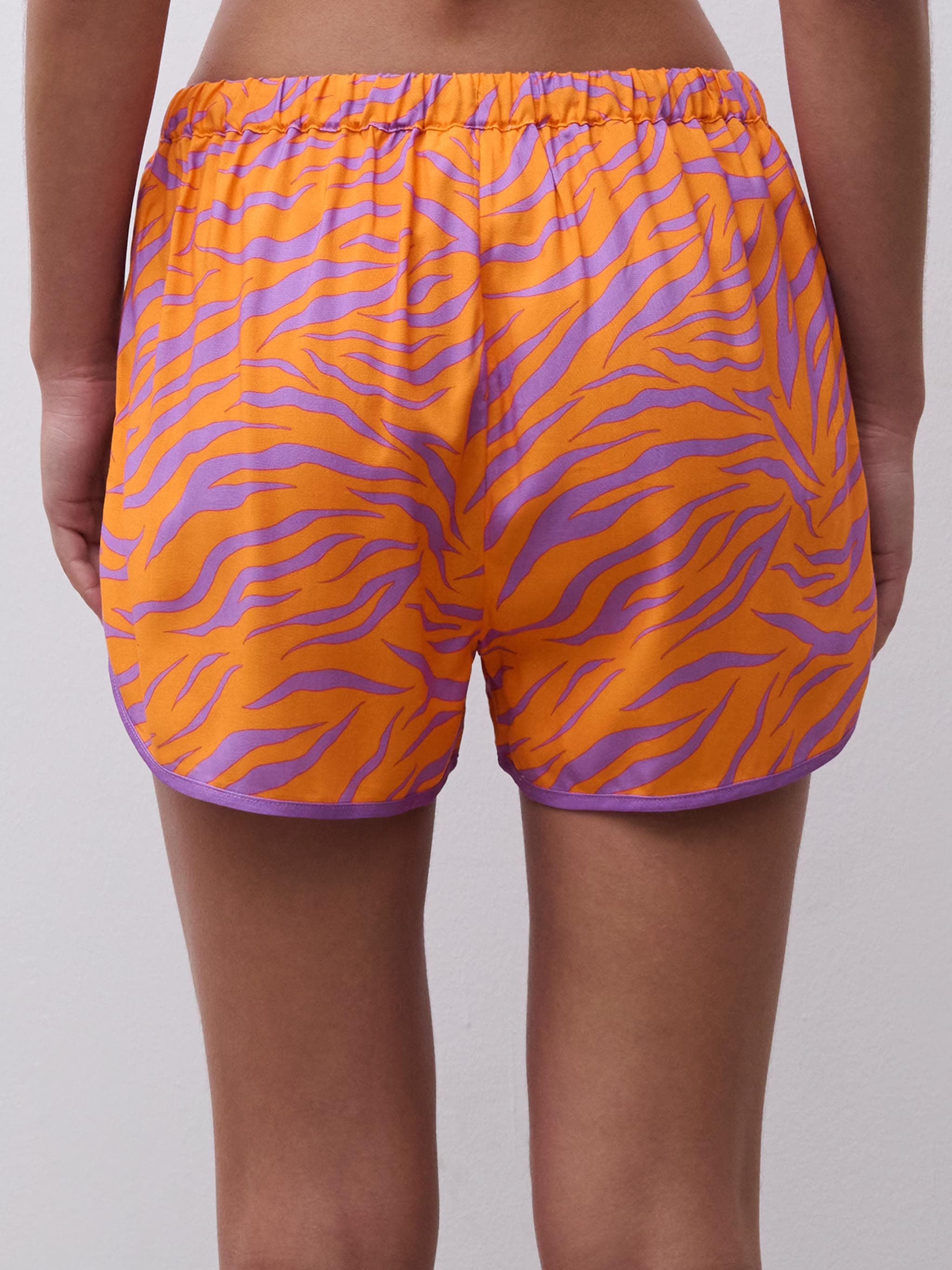 Pantalón corto - Zebra