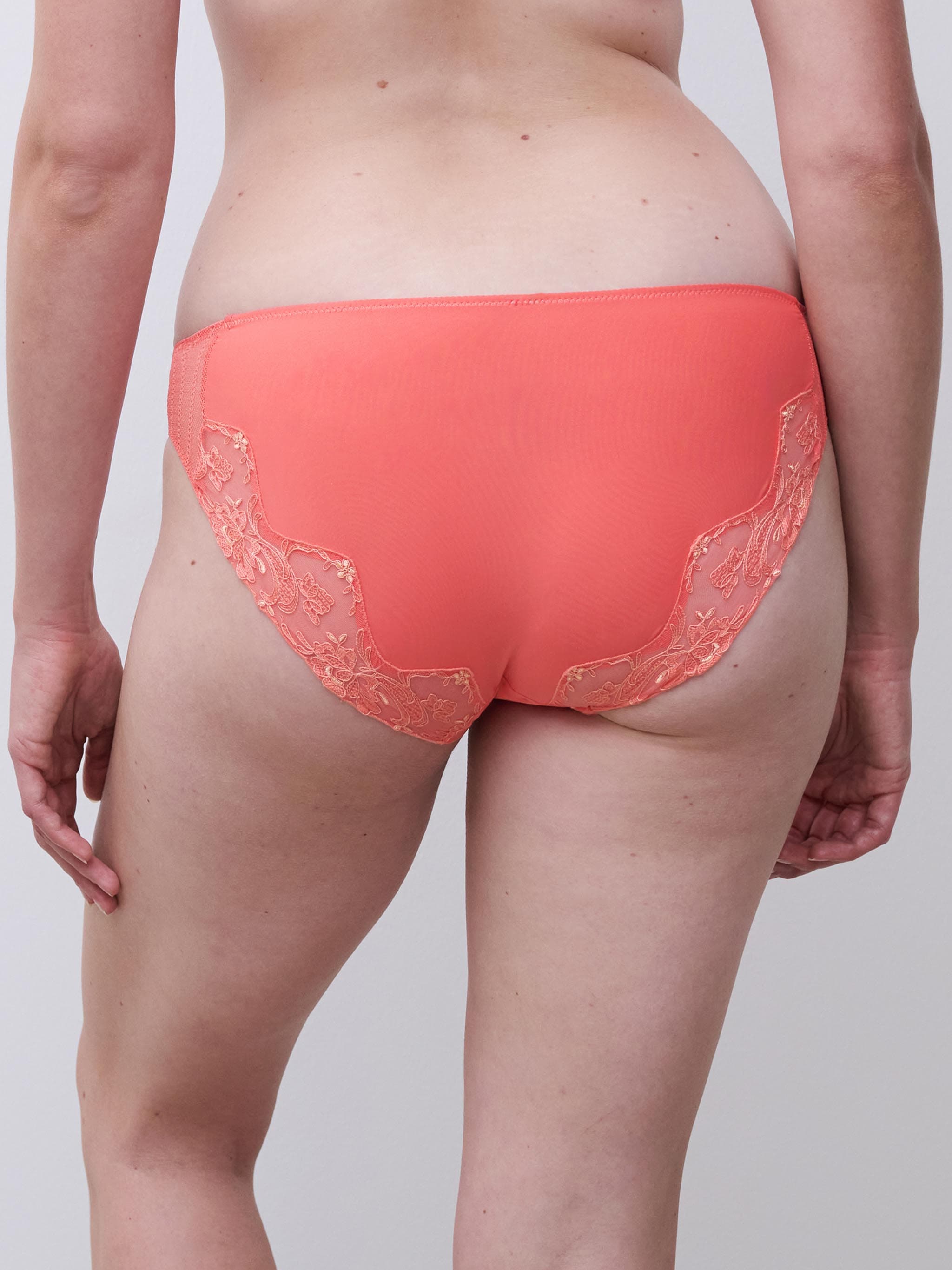 Briefs - Corail