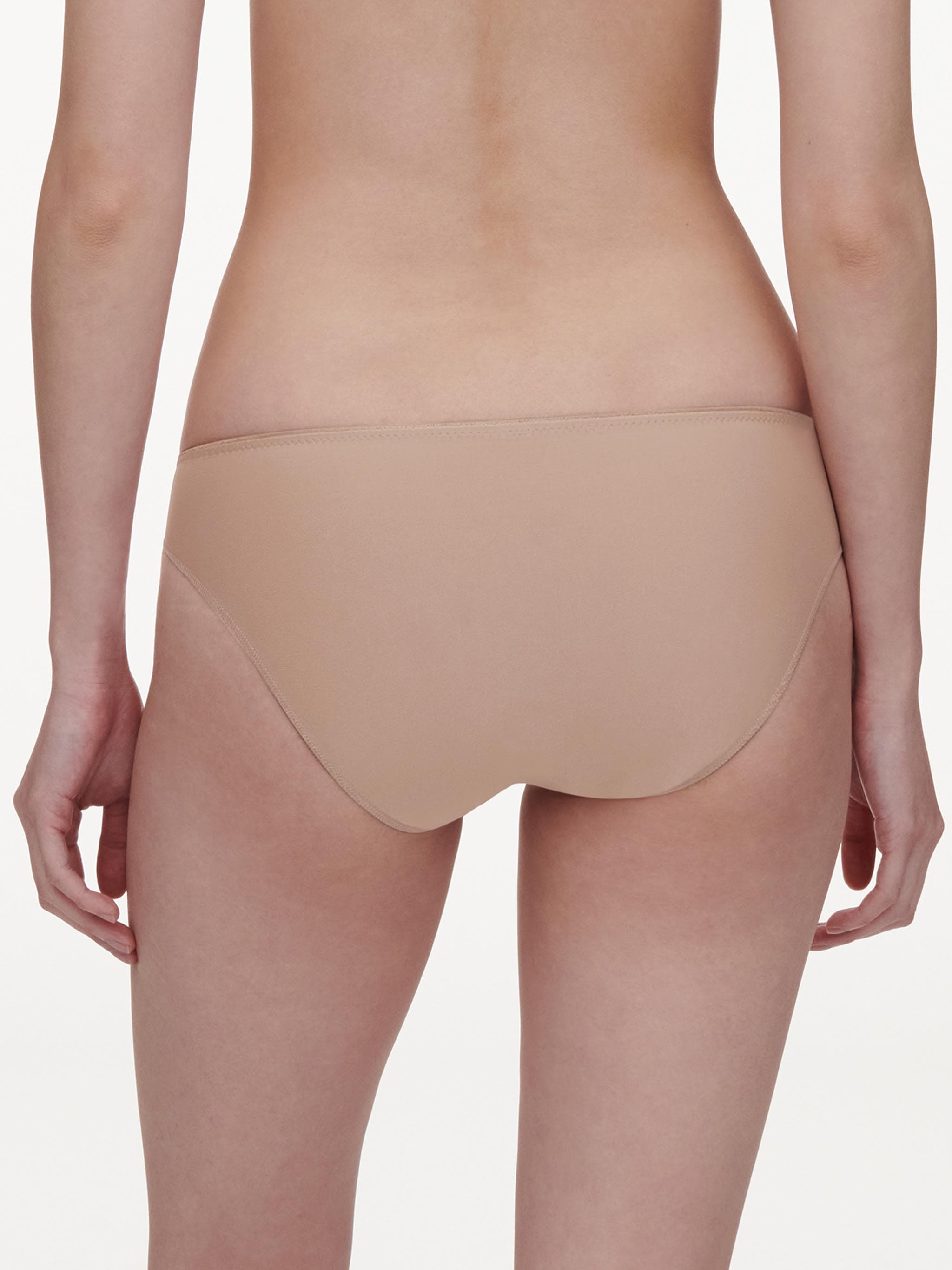 Evolutive briefs - Imprimé Félin