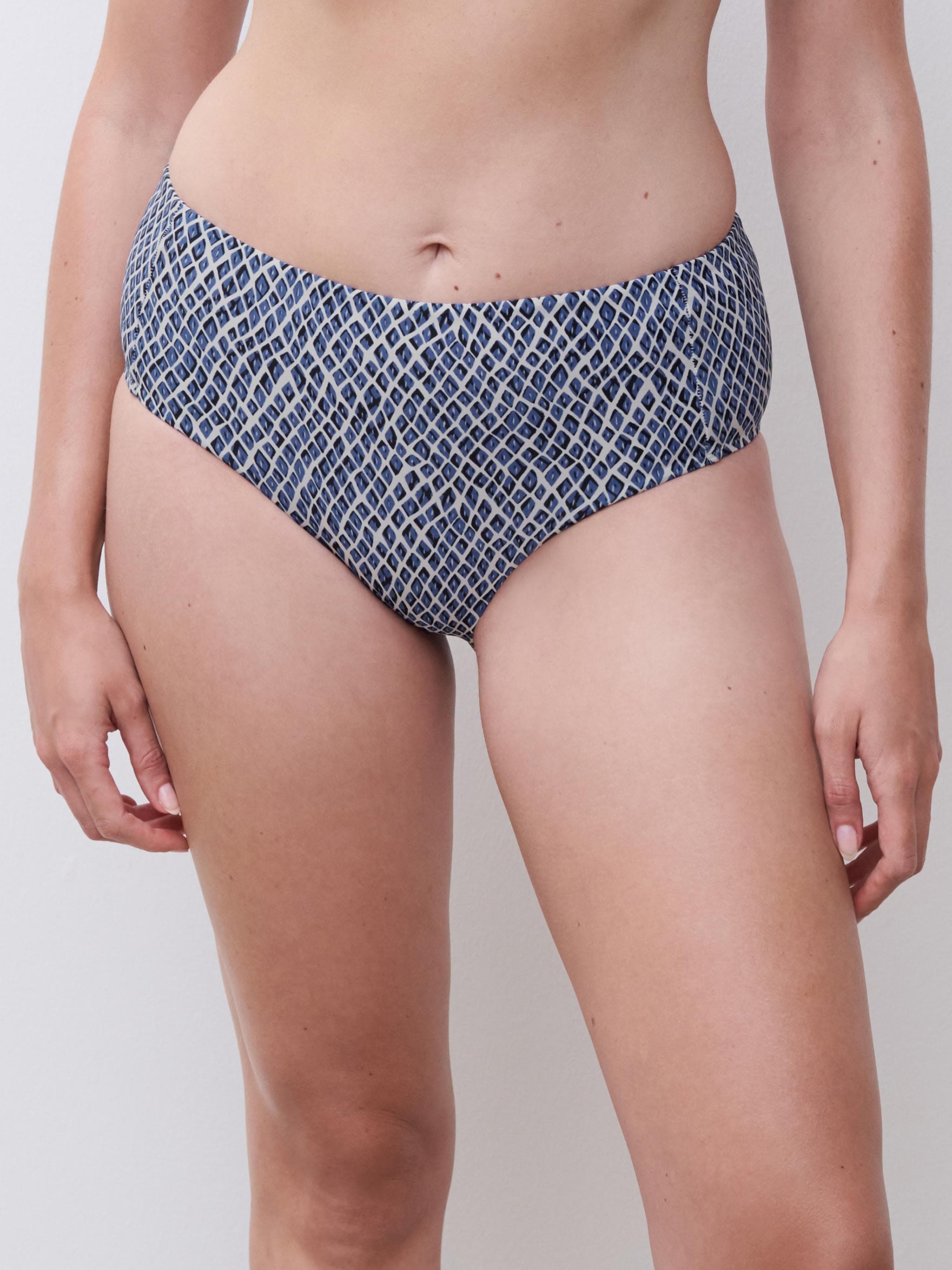 Hogetailleslip - Reptile Blue