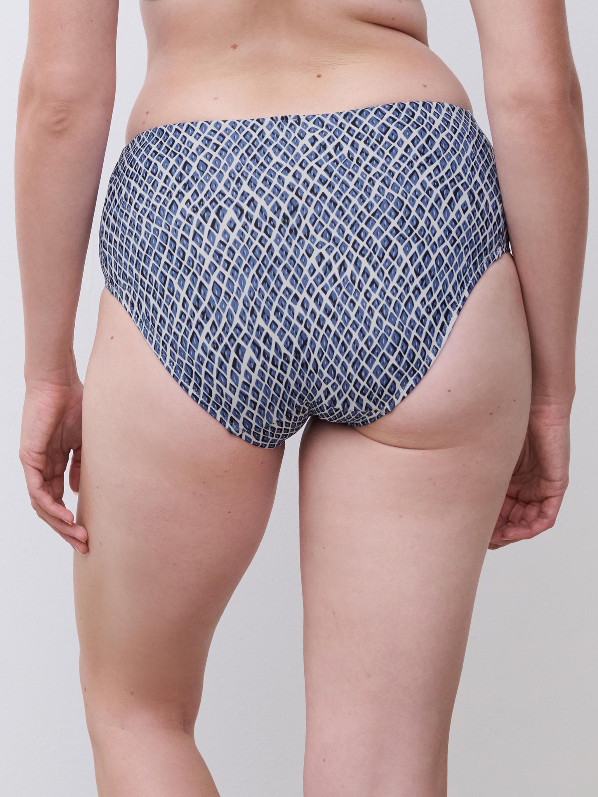 Hogetailleslip - Reptile Blue