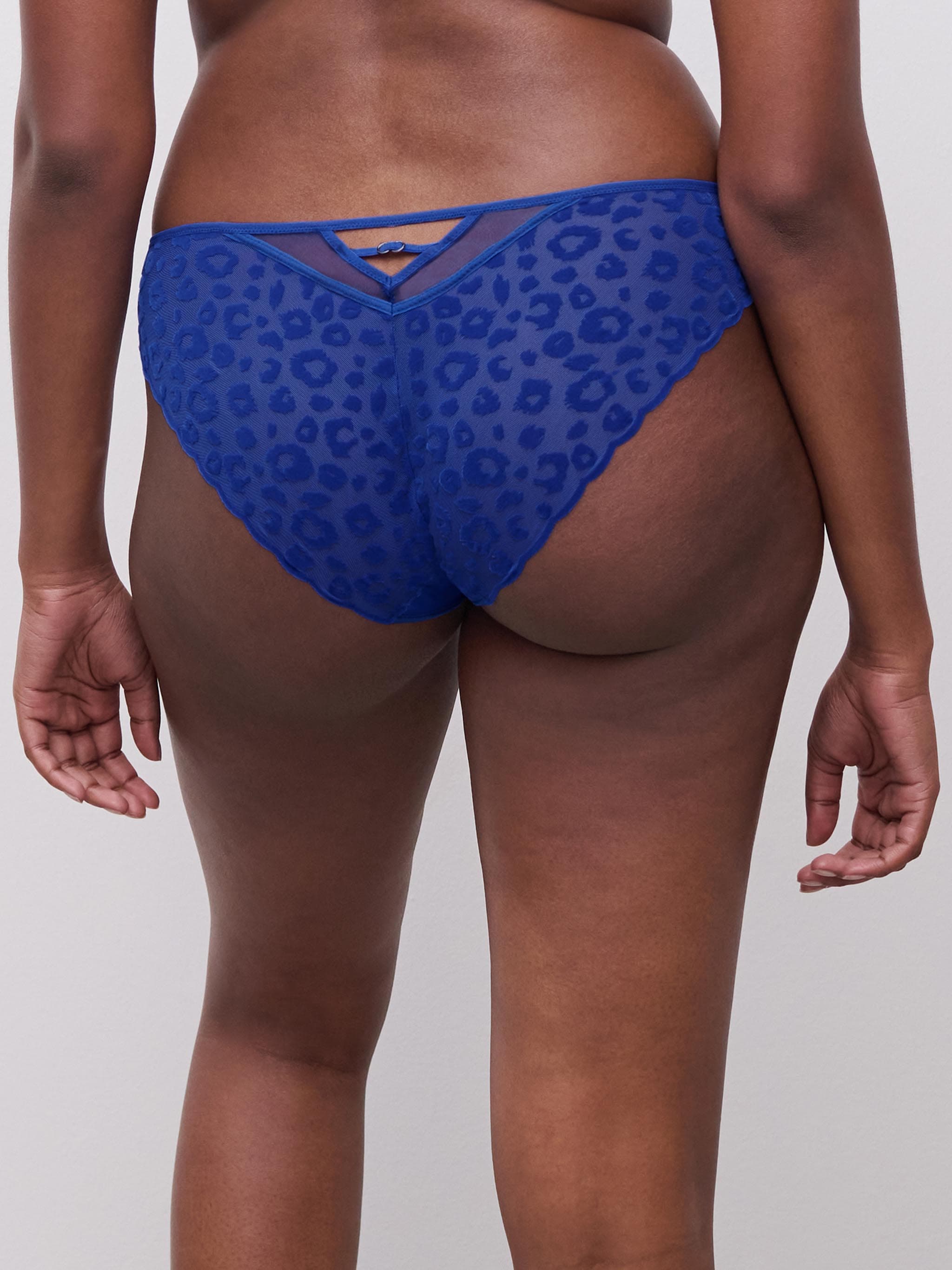 Briefs - Bleu Sailor